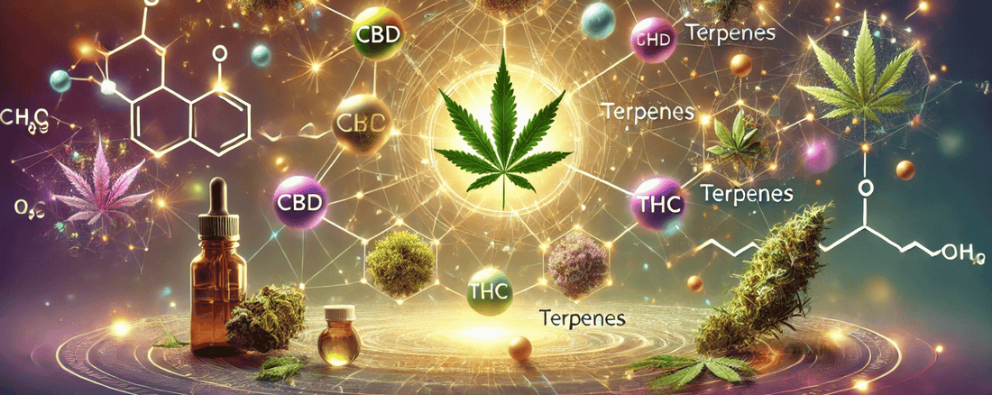 Qu'est-ce que l'effet d'entourage ? L'interaction parfaite des cannabinoïdes