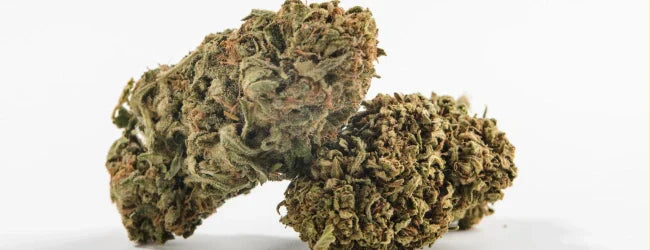 Consommer du CBD est-il sans danger ?