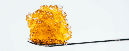 Plongez dans l'univers puissant et savoureux de la Live Resin : tout ce que vous devez savoir !